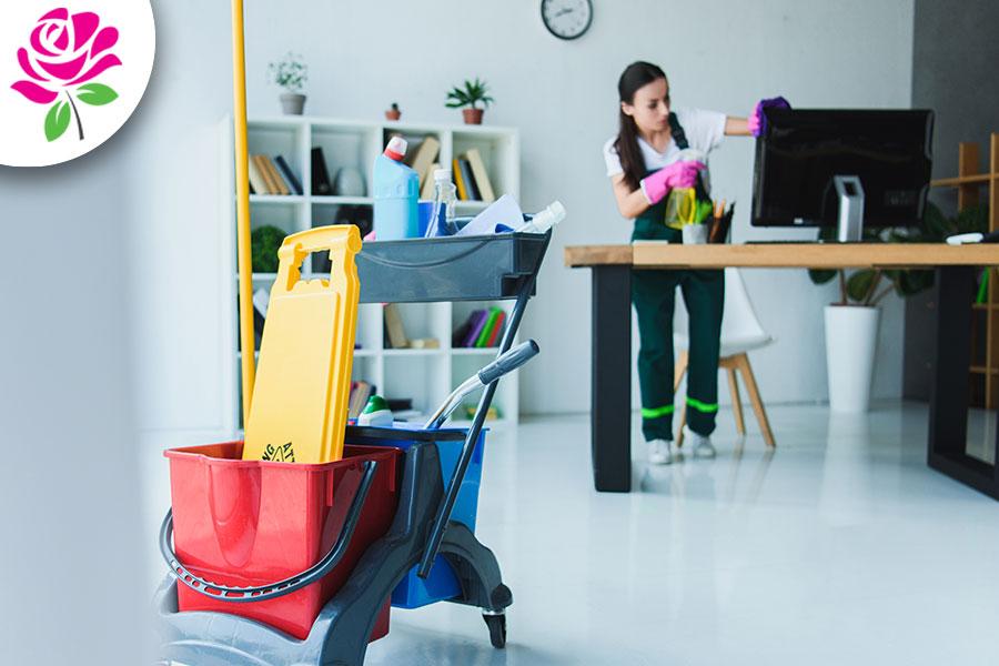 women cleaning office